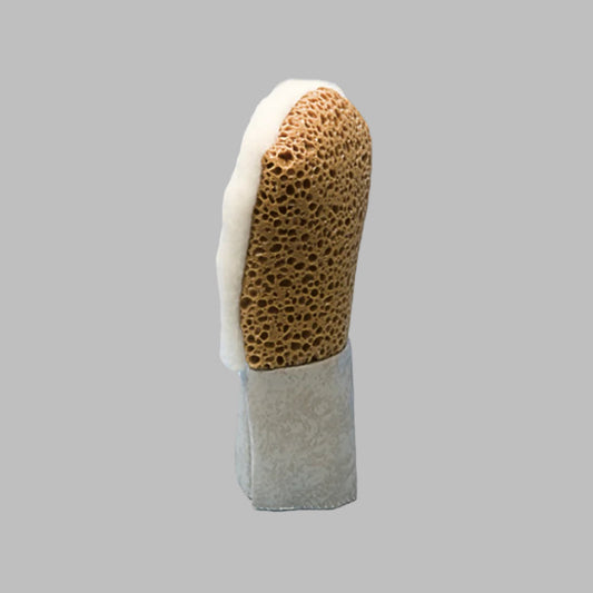 Venetian plaster polishing mitt